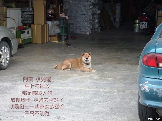 麥可 一隻腳完成石門水庫之旅