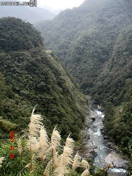 櫻花滿山谷的福山村~(附:加九寮步道歐弗洛驚魂記)