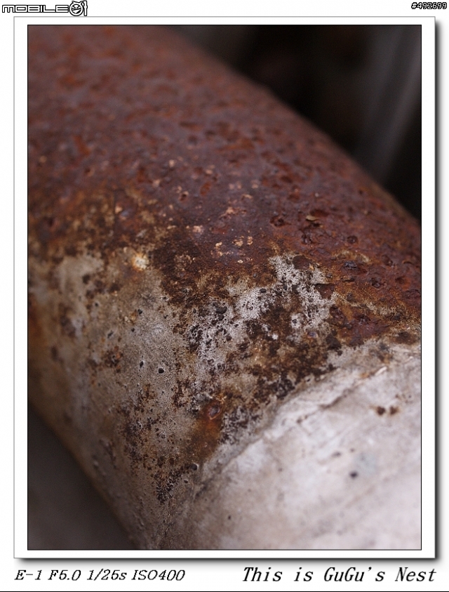邀請您的 50mm f2 macro 作品