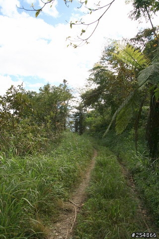 藤枝探路紀行