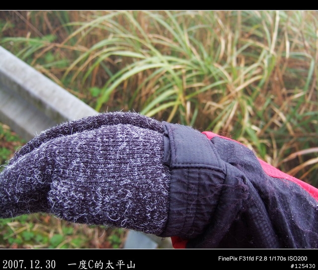 【一度C的歷練】小白鼠挑戰太平山之旅