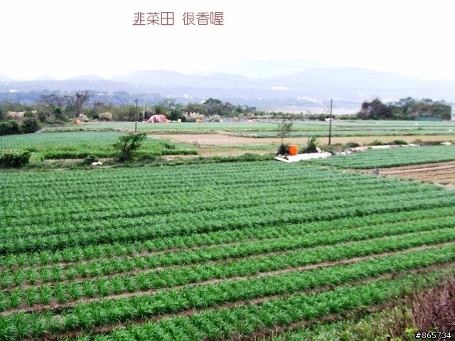 麥可 一隻腳完成石門水庫之旅