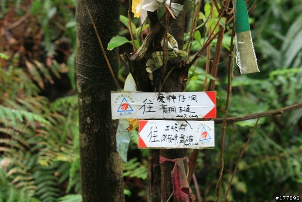 緩緩飄落的楓葉像思念...(圖不少請小心)