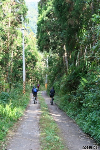 藤枝探路紀行
