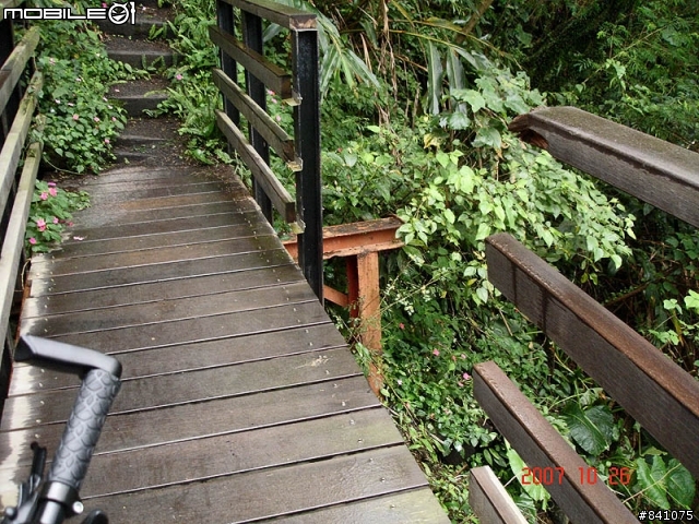 櫻花滿山谷的福山村~(附:加九寮步道歐弗洛驚魂記)
