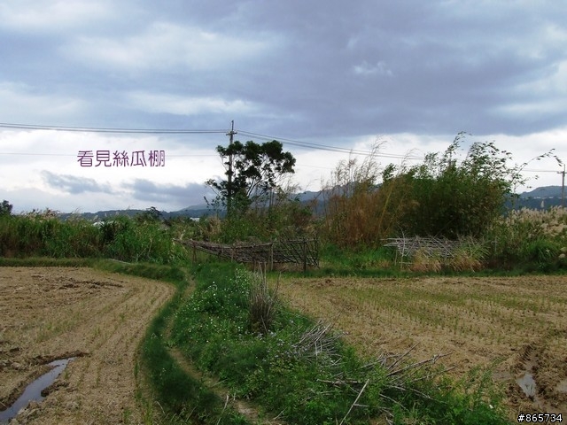 麥可 一隻腳完成石門水庫之旅