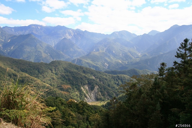 藤枝探路紀行
