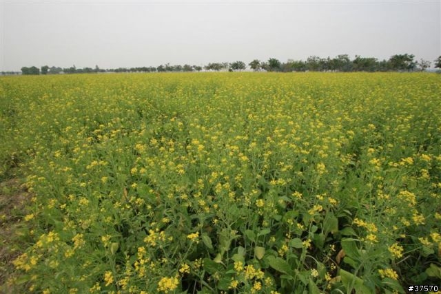 【景點】國立高雄大學