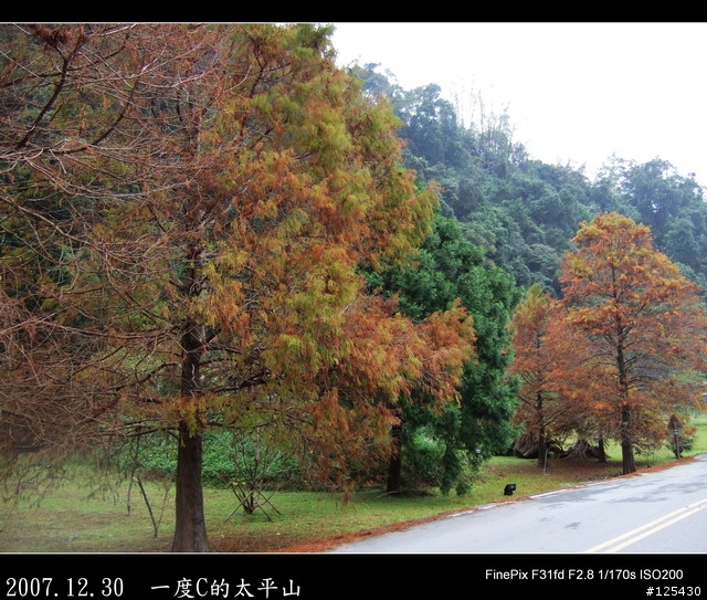 【一度C的歷練】小白鼠挑戰太平山之旅