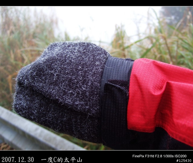 【一度C的歷練】小白鼠挑戰太平山之旅
