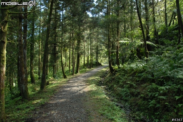 離開都市叢林與柏油路面,來去騎林道吧(四)之桶後越嶺古道(烏來至礁溪)單車行