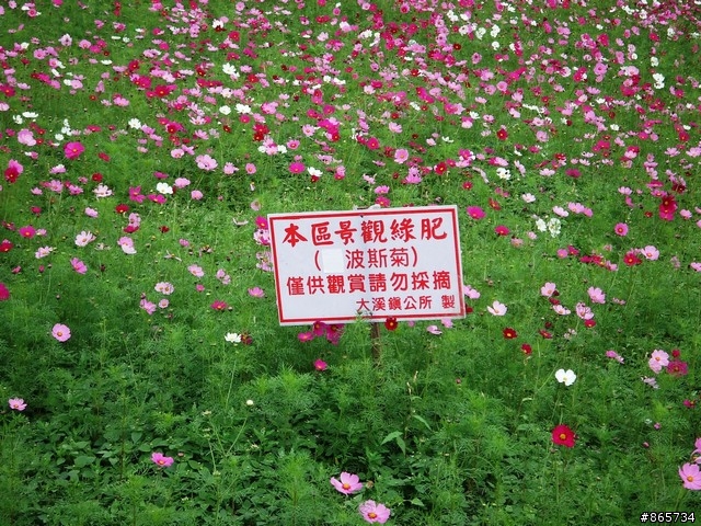 麥可 一隻腳完成石門水庫之旅
