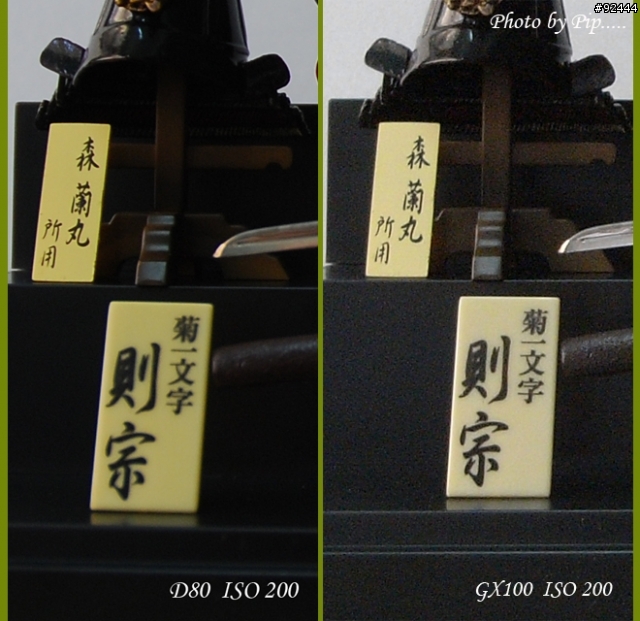 ~~~ Ricoh GX100 與 Nikon D80 大亂鬥 ~~~