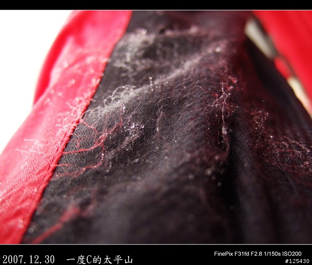 【一度C的歷練】小白鼠挑戰太平山之旅