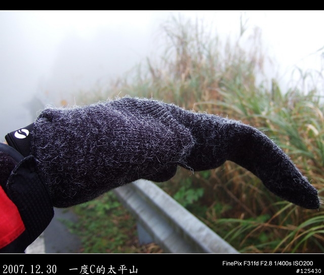 【一度C的歷練】小白鼠挑戰太平山之旅