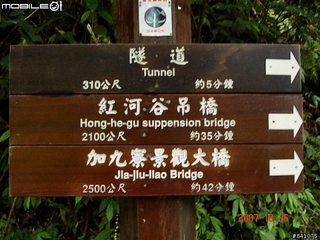 櫻花滿山谷的福山村~(附:加九寮步道歐弗洛驚魂記)
