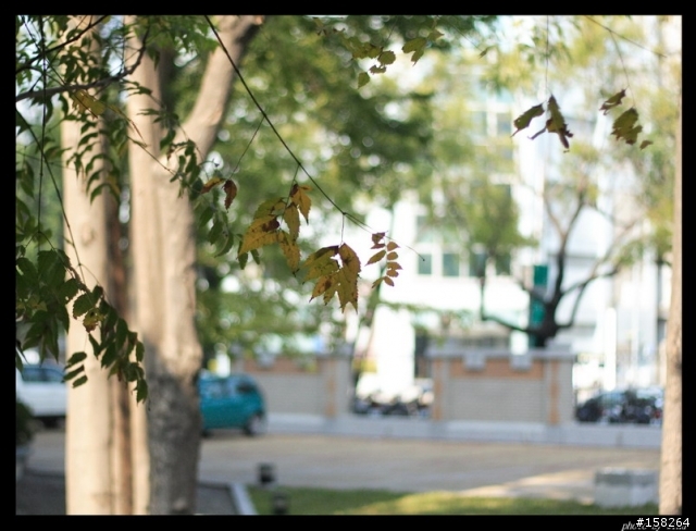 帶著30D趴趴照的體悟...