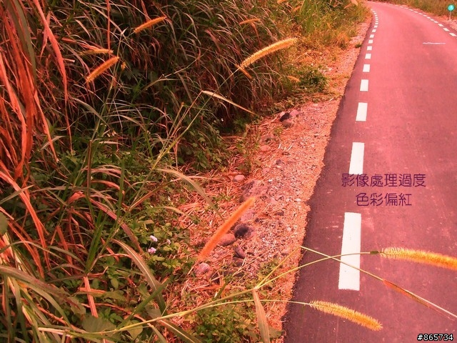麥可 一隻腳完成石門水庫之旅