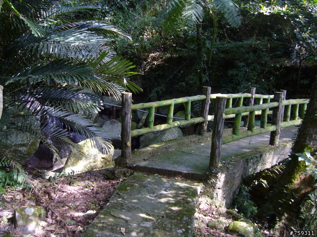 野放保育類動物,單車背上山:平等里、鵝尾山之行