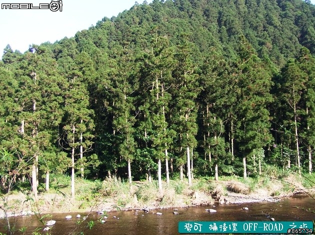 麥可 桶後溪 OFF-ROAD 迷航之旅