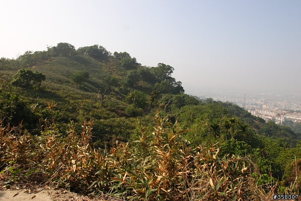 霧峰:小百岳~阿罩霧山