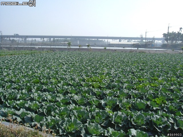 2/2(六)下午三點~夕陽與海風的約會~誠摯邀請南方的友人同來參與
