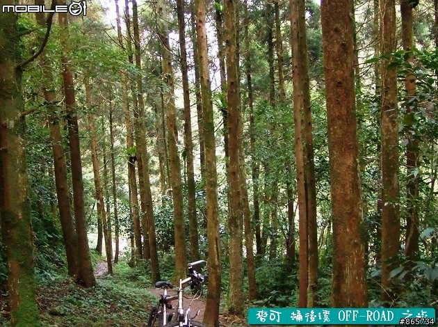 麥可 桶後溪 OFF-ROAD 迷航之旅