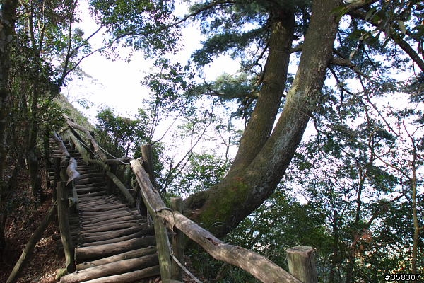 頭嵙山及二嵙山