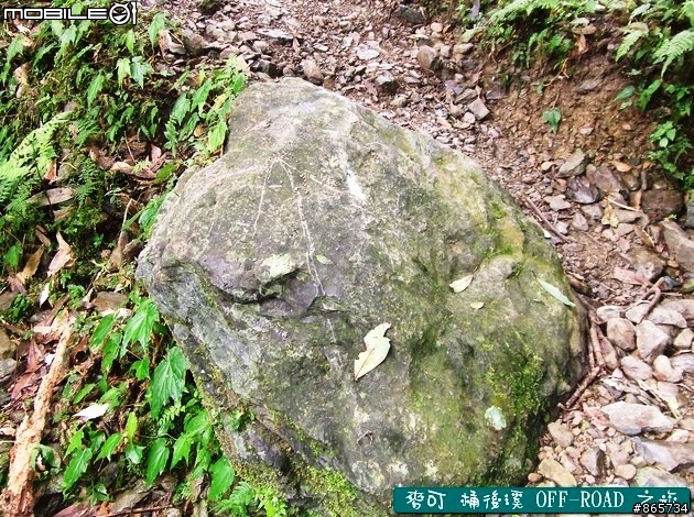 麥可 桶後溪 OFF-ROAD 迷航之旅