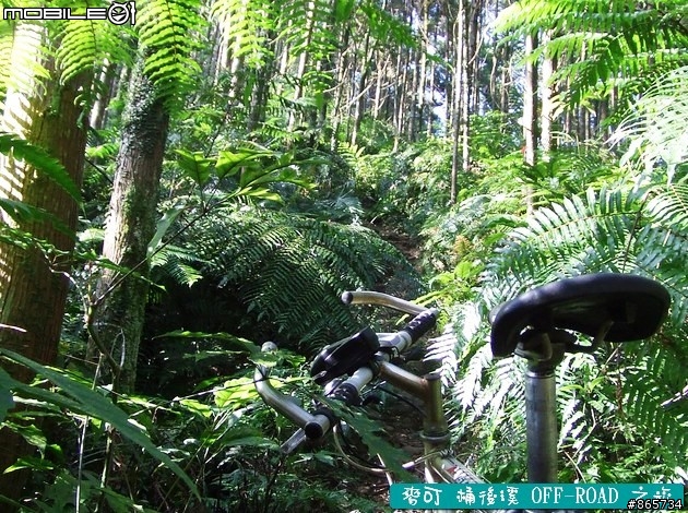 麥可 桶後溪 OFF-ROAD 迷航之旅