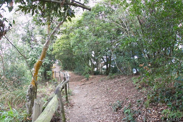 頭嵙山及二嵙山