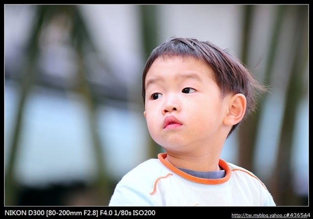 【心得分享】Nikon D300 心得感想篇