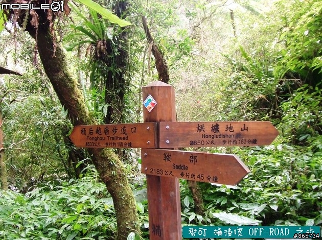 麥可 桶後溪 OFF-ROAD 迷航之旅