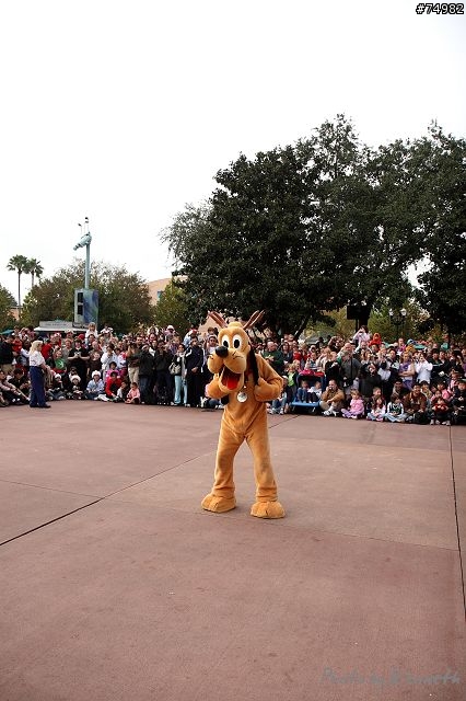 穿越美東1300mi - Disney World Trip