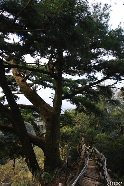 頭嵙山及二嵙山
