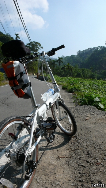 DAHON SD7 升級 SD14 之心路歷程