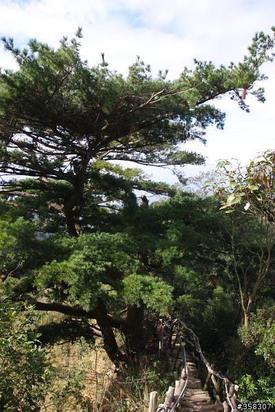 頭嵙山及二嵙山