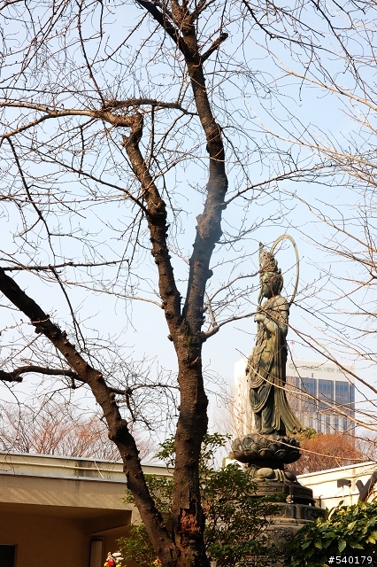 (旅遊)找回第一次的感動(日本東京血拼行)