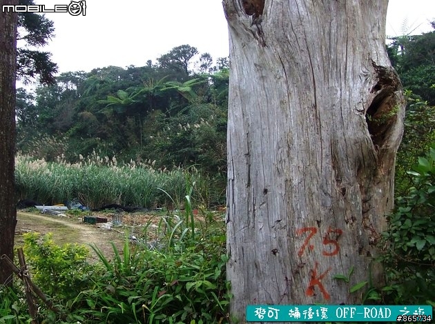 麥可 桶後溪 OFF-ROAD 迷航之旅