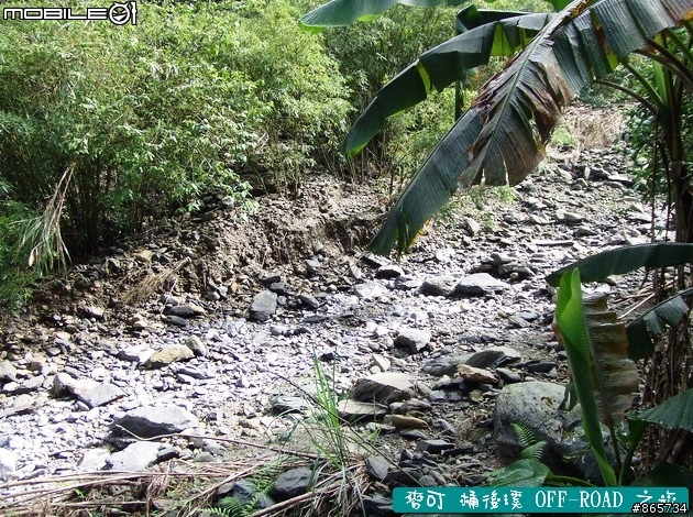 麥可 桶後溪 OFF-ROAD 迷航之旅