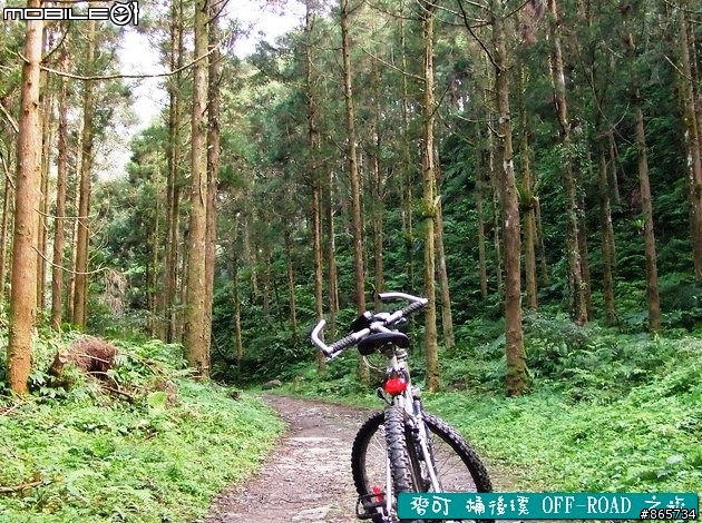 麥可 桶後溪 OFF-ROAD 迷航之旅