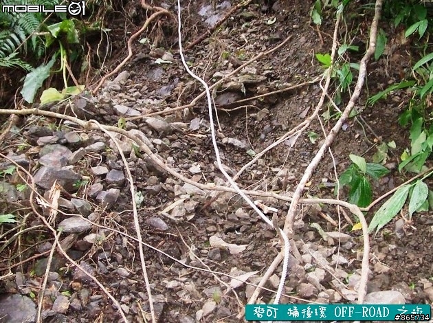 麥可 桶後溪 OFF-ROAD 迷航之旅