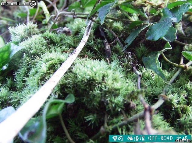 麥可 桶後溪 OFF-ROAD 迷航之旅