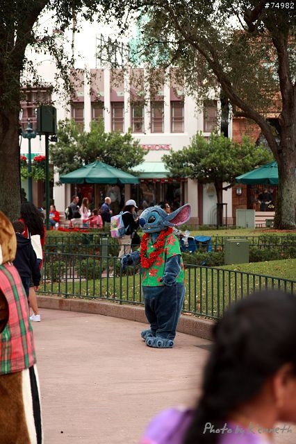 穿越美東1300mi - Disney World Trip