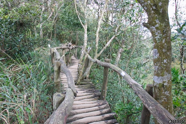 頭嵙山及二嵙山