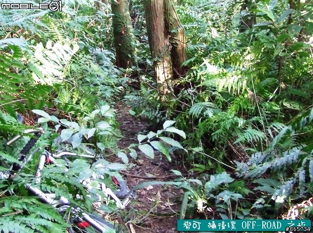 麥可 桶後溪 OFF-ROAD 迷航之旅
