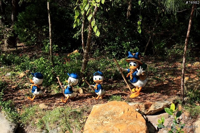 穿越美東1300mi - Disney World Trip
