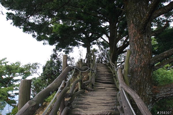 頭嵙山及二嵙山