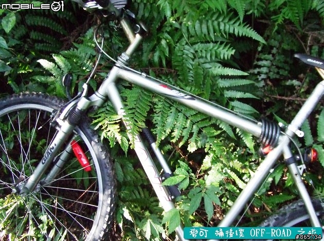 麥可 桶後溪 OFF-ROAD 迷航之旅