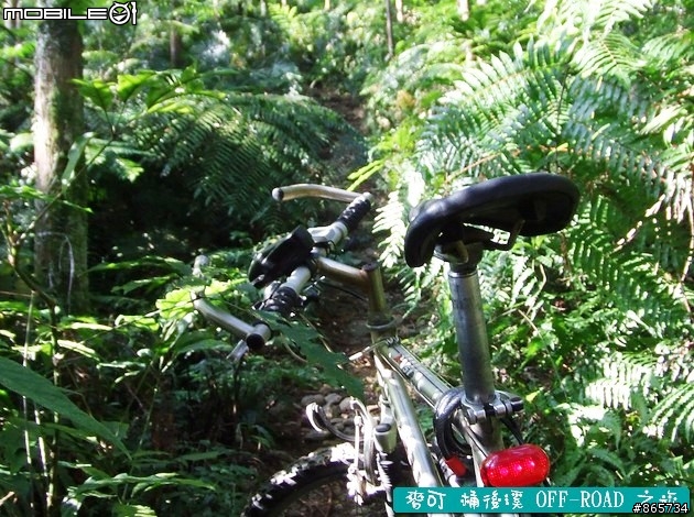 麥可 桶後溪 OFF-ROAD 迷航之旅